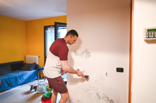 Best Health and Safety Mold Remediation in Santa Paula, CA